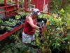 Kaye working in her greenhouse.